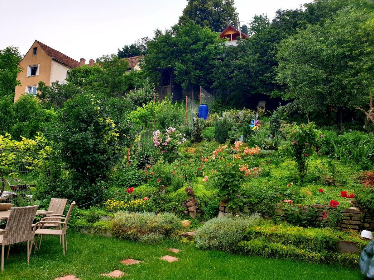 Appartement Casa Sperantei à Sighişoara Extérieur photo