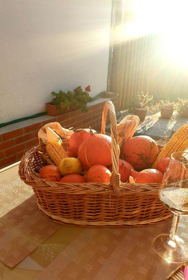 Appartement Casa Sperantei à Sighişoara Extérieur photo